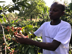【農民公義札記】EP01-拆解坦桑尼亞小農種植的珈啡豆為何有果香味？